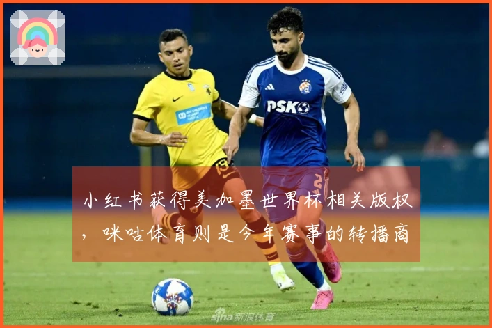 小红书获得美加墨世界杯相关版权，咪咕体育则是今年赛事的转播商